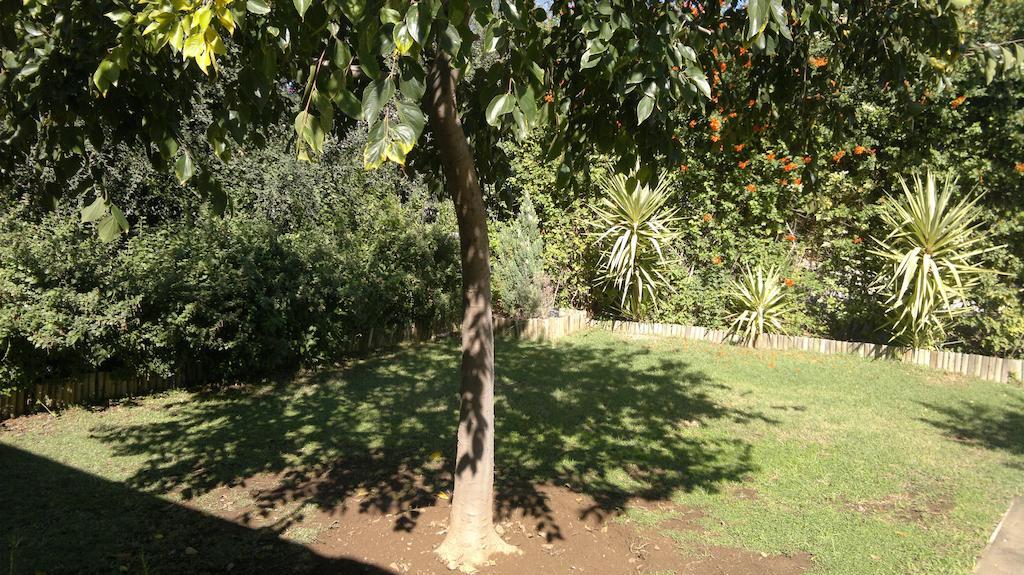 B&B On Church Oudtshoorn Bagian luar foto